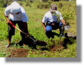 Δεντροφύτευση από το Δήμο Λέρου!