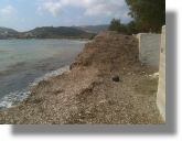 Τόνους με φύκια στην παραλία της Γούρνας &#8211; Απαράδεκτη κατάσταση με την καθαριότητα καταγγέλλουν οι δημότες στο Facebook!