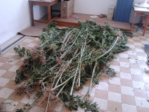 ΝΑΡΚΩΤΙΚΆ ΛΕΡΟΣ ΣΎΛΛΗΨΗ ΧΑΣΙΣ DRUGS LEROS