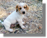 Εγκαταλείφθηκε ανάμεσα σε αφιλόξενους ανθρώπους...