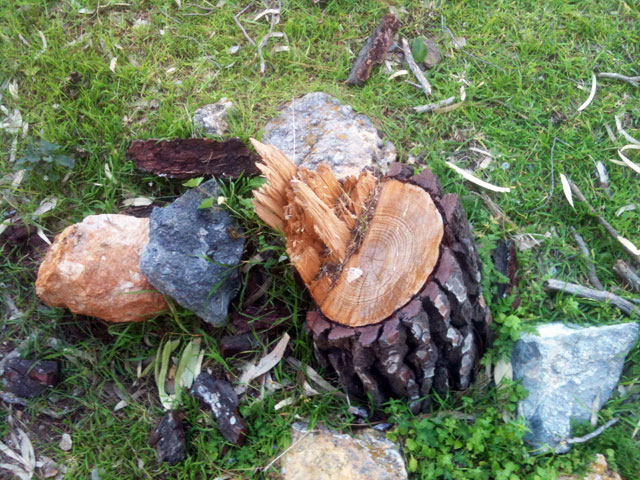 Οικολογικό έγκλημα στην ευρύτερη περιοχή της Μερικιάς!