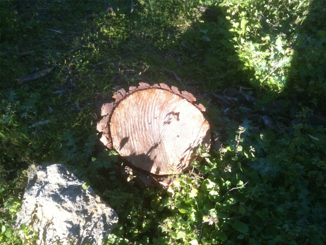 Οικολογικό έγκλημα στην ευρύτερη περιοχή της Μερικιάς!