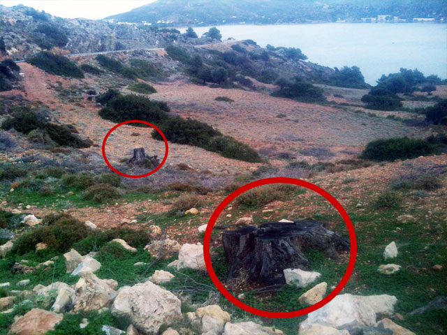 Οικολογικό έγκλημα στην ευρύτερη περιοχή της Μερικιάς!