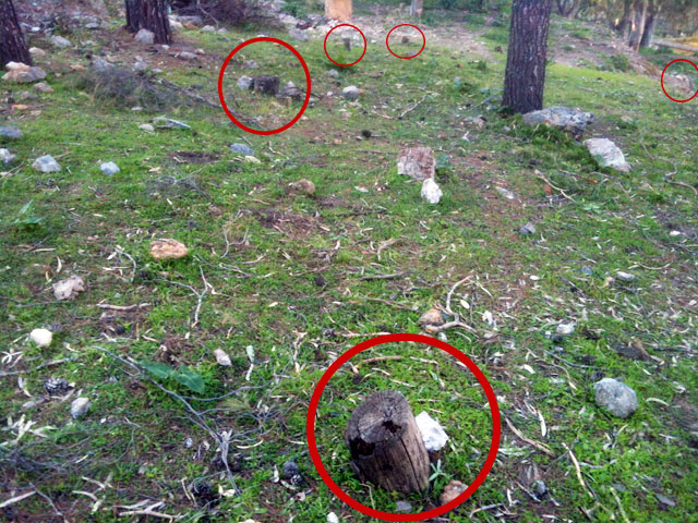 Οικολογικό έγκλημα στην ευρύτερη περιοχή της Μερικιάς!