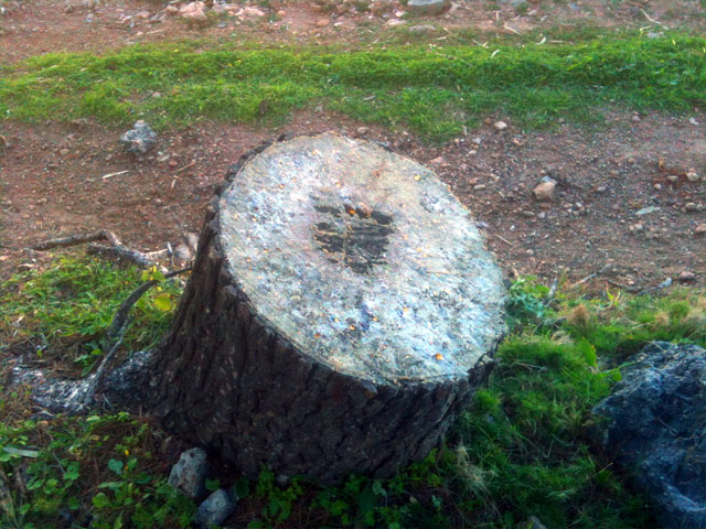 Οικολογικό έγκλημα στην ευρύτερη περιοχή της Μερικιάς!