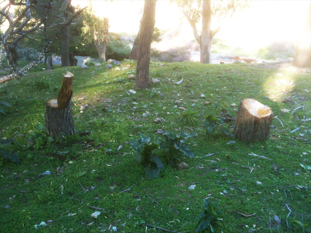 Οικολογικό έγκλημα στην ευρύτερη περιοχή της Μερικιάς!