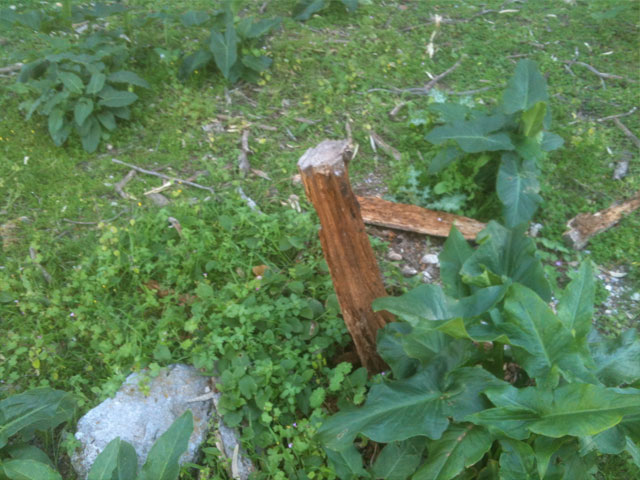 Οικολογικό έγκλημα στην ευρύτερη περιοχή της Μερικιάς!