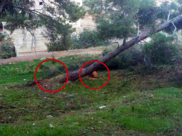 Οικολογικό έγκλημα στην ευρύτερη περιοχή της Μερικιάς!