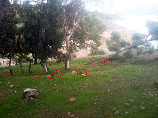 Οικολογικό έγκλημα στην ευρύτερη περιοχή της Μερικιάς!