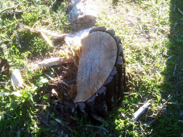 Οικολογικό έγκλημα στην ευρύτερη περιοχή της Μερικιάς!