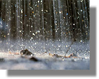 Έντονες βροχοπτώσεις στη Λέρο - συνοδεύτηκαν από ...διακοπές ρεύματος!