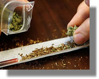 Πάτμος: Το γάλα έκρυβε κάνναβη