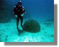 Βρέθηκε βλήμα