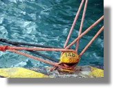 Δεμένα τα πλοία στις 6 Νοεμβρίου - 24ωρη απεργία αποφάσισε η ΠΝΟ