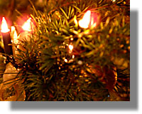 Χριστουγεννιάτικο Δέντρο