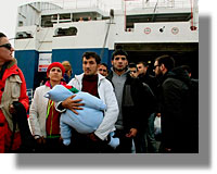 lathrometanastes peiraias