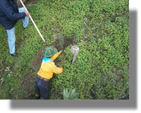 Εκατοντάδες φυτά «πρασίνισαν» τη Λέρο