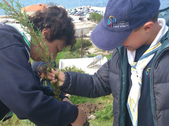 Εκατοντάδες φυτά «πρασίνισαν» τη Λέρο
