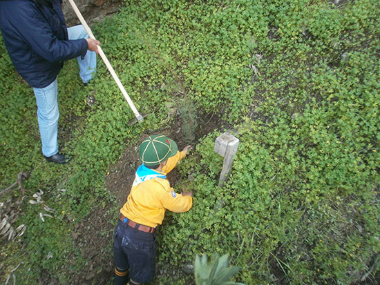 Εκατοντάδες φυτά «πρασίνισαν» τη Λέρο