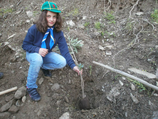 Εκατοντάδες φυτά «πρασίνισαν» τη Λέρο