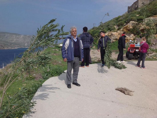 Εκατοντάδες φυτά «πρασίνισαν» τη Λέρο