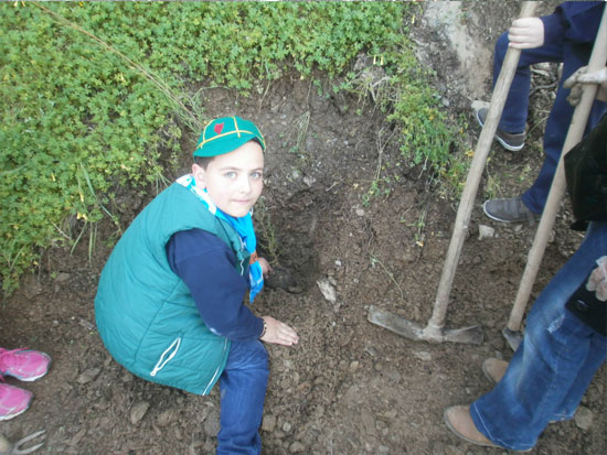 Εκατοντάδες φυτά «πρασίνισαν» τη Λέρο