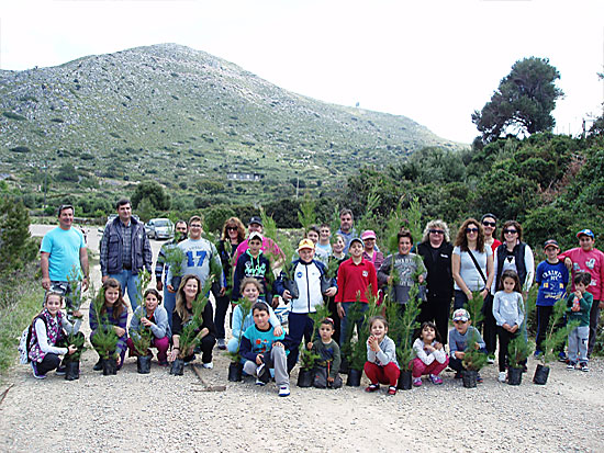 Μικρή Δεντροφύτευση