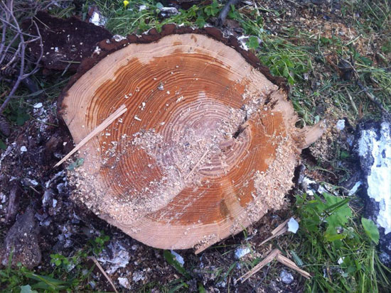 Δελτίο Τύπου της δημοτικής παράταξης ΕΛΠΙΔΑ ΓΙΑ ΤΗ ΛΕΡΟ