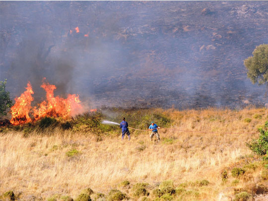 πυρκαγιά Παρθένι