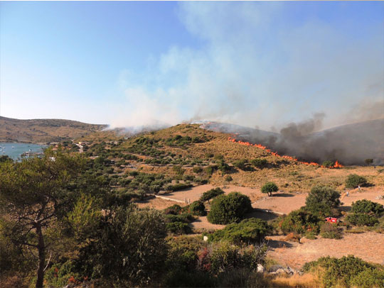 πυρκαγιά Παρθένι