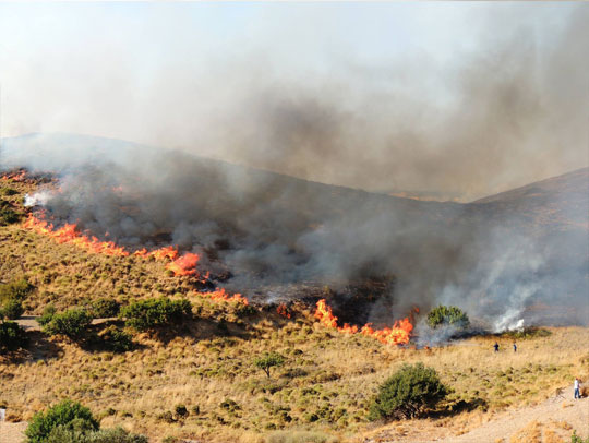 πυρκαγιά Παρθένι