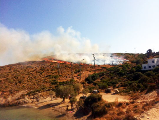 πυρκαγιά Παρθένι