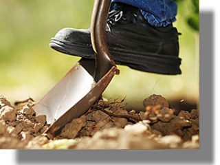 νεοι γεωργοί