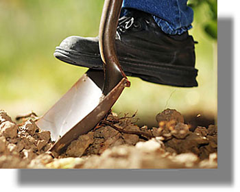 νεοι γεωργοί