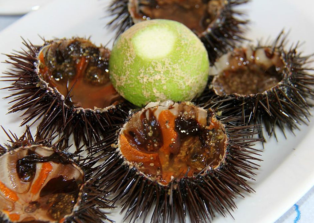  εστιατόριο «ΓΟΥΡΝΑ»