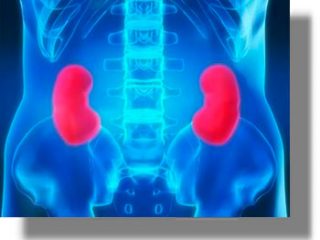 Δείτε 3 συμπτώματα, που μπορεί να κρύβουν πρόβλημα στους νεφρούς