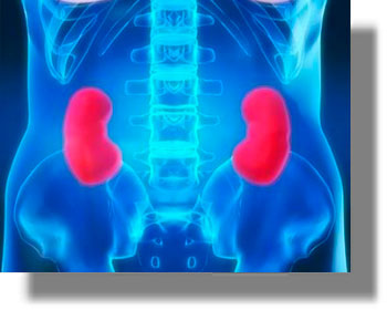Εάν έχετε αυτά τα συμπτώματα, κάτι δεν πάει καλά με τους νεφρούς σας