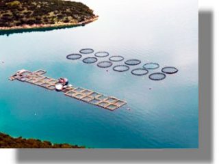 ΚΑΛΥΜΝΟΣ: Εντοπισμός παράνομης μονάδας ιχθυοκαλλιέργειας