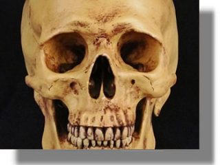 Εντοπισμός τμημάτων ανθρώπινου κρανίου στο Φαρμακονήσι