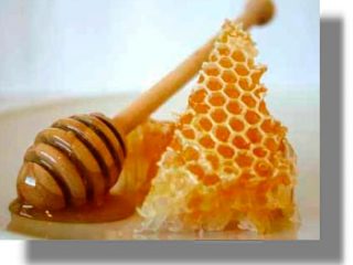 Ξεκίνησαν τα προγράμματα στήριξης της μελισσοκομίας από την Περιφέρεια