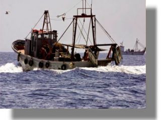 Ανάκληση της Υπουργικής Απόφασης για την επαναλειτουργία της βιντζότρατας