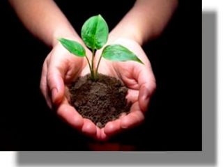 ΛΕΡΟΣ: Κάλεσμα για δεντροφύτευση