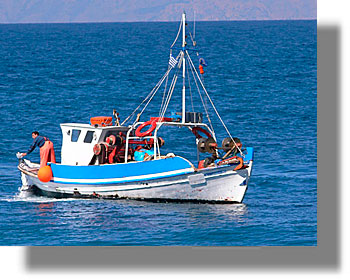 Ανακοίνωση από τη Διεύθυνση Αλιείας Δωδεκανήσου για την χορήγηση αδειών αλίευσης