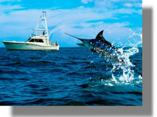 Κατάσχεση αλιευμάτων στην Κάλυμνο