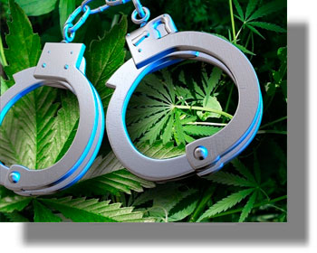 ΛΕΡΟΣ: Συνελήφθη 52χρονος για καλλιέργεια-κατοχή κάνναβης και παράνομη οπλοκατοχή