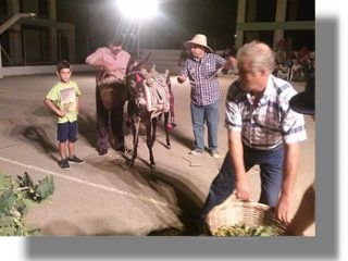 ΛΕΡΟΣ: Η γιορτή του κρασιού στο Δρυμώνα