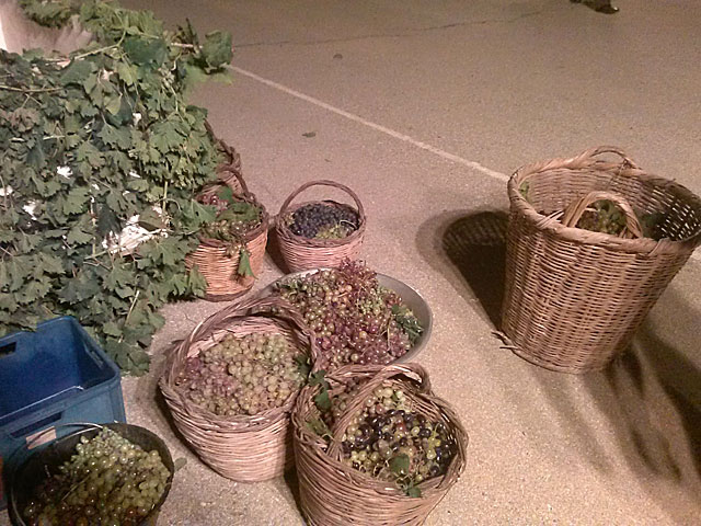 ΛΕΡΟΣ: Η γιορτή του κρασιού στο Δρυμώνα