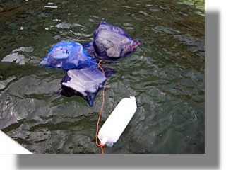 ΠΑΤΜΟΣ: ολοκληρώθηκε η Α’ φάση εθελοντικών καθαρισμών ακτών