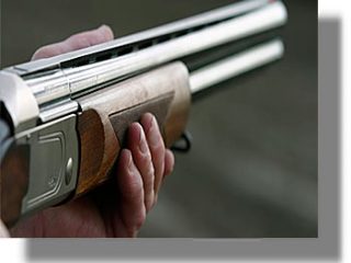 ΑΣΤΥΠΑΛΑΙΑ: Σκότωσαν αδέσποτο σκυλί με κυνηγετικό όπλο!..