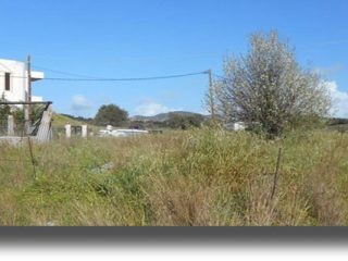 ΠΑΤΜΟΣ: «Οικοπεδοποιείται» το ΒΑ τμήμα